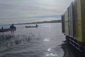 Contrabando de carne de cerdo interceptado en Tiwanaku