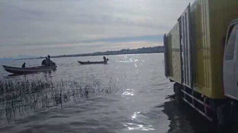 Contrabando de carne de cerdo interceptado en Tiwanaku