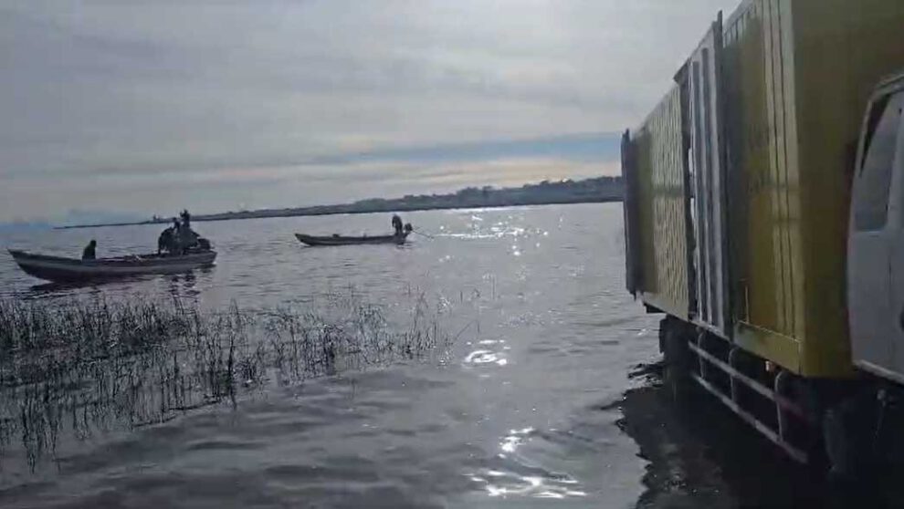 Contrabando de carne de cerdo interceptado en Tiwanaku