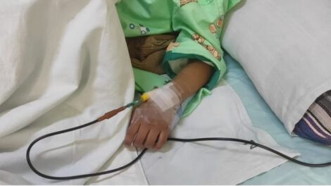 Rabia humana en Bolivia