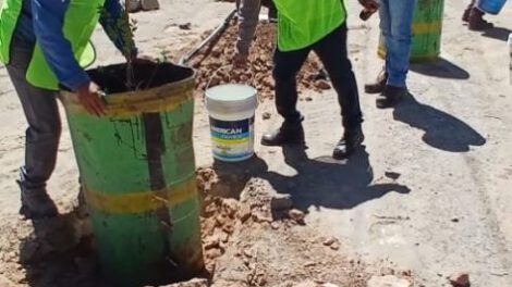 forestación en Vinto para mejorar el medioambiente