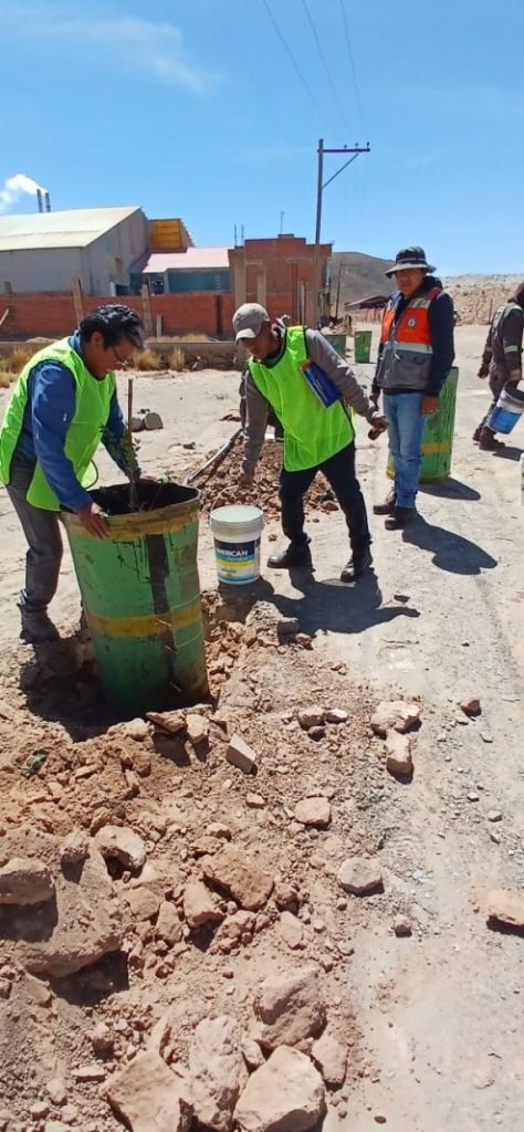 plantado de árboles en Vinto para mitigación ambiental