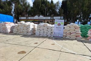 Implementación de guías de movimiento para el arroz en Bolivia