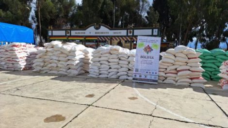 Implementación de guías de movimiento para el arroz en Bolivia