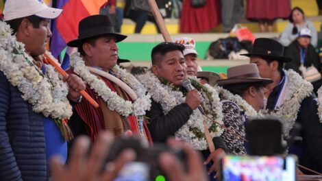 Modificaciones al Estatuto Orgánico del MAS para permitir la participación juvenil en las elecciones del próximo año