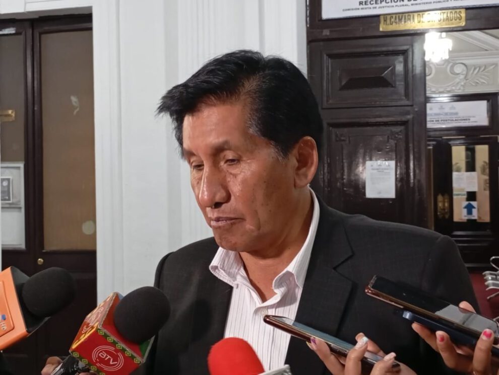 Tribunal Constitucional Plurinacional puede funcionar con cuatro magistrados electos