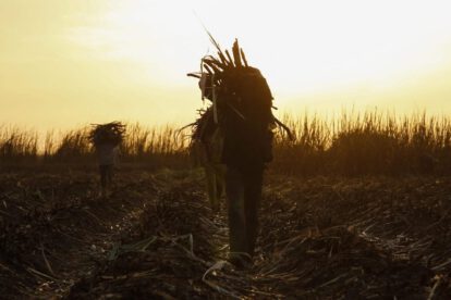 Cambio climático y agricultura en países en desarrollo