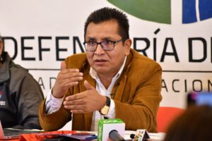 Rol del TCP en elecciones 2025