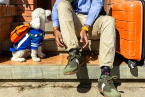 EcoAguinaldo del Banco Ecofuturo para cuidar tu dinero y futuro