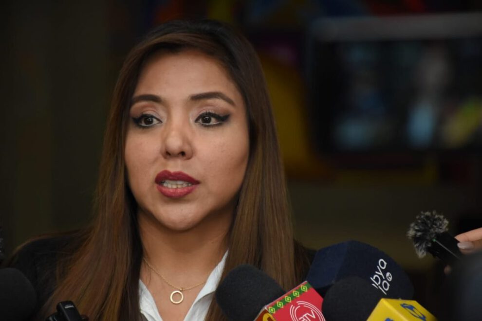 Viceministra Alcón pide que la marcha evista del 10 de enero transcurra sin violencia