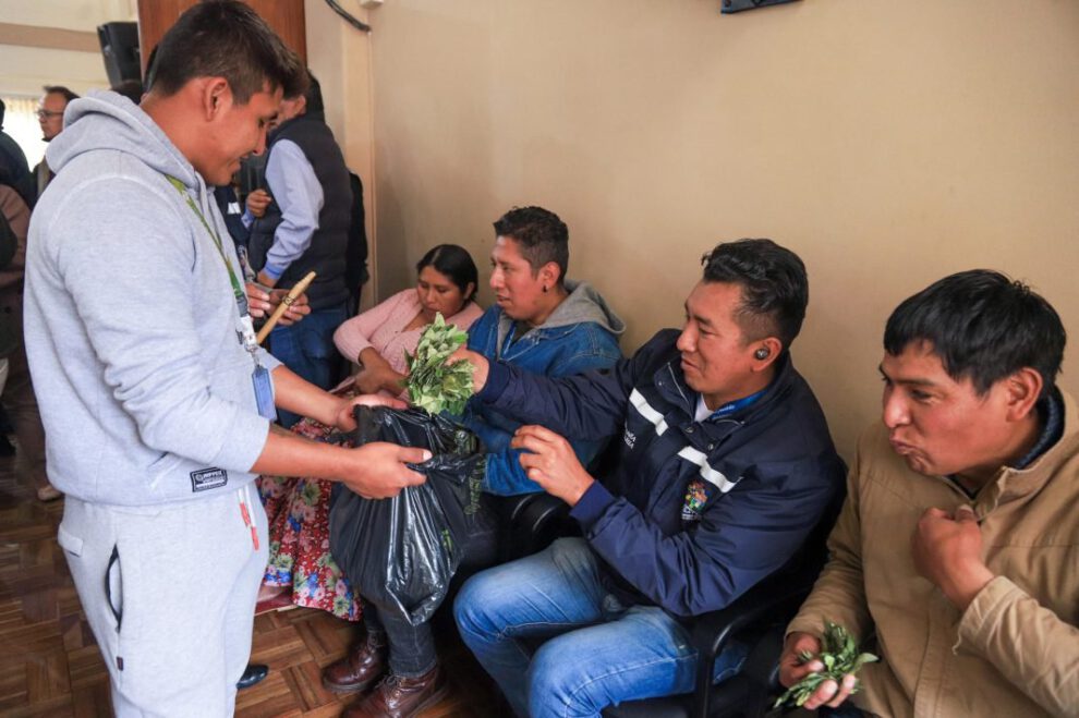 Día Nacional del Acullico en Bolivia