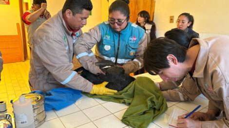Día Internacional de las Aves en el Bioparque Vesty Pakos
