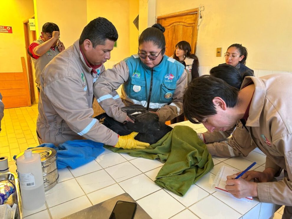 Día Internacional de las Aves en el Bioparque Vesty Pakos