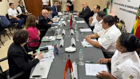 Servicios veterinarios en Bolivia para combatir rabia bovina