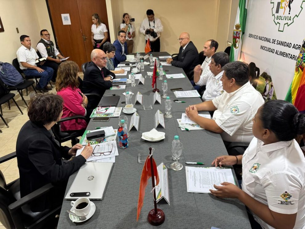 Servicios veterinarios en Bolivia para combatir rabia bovina