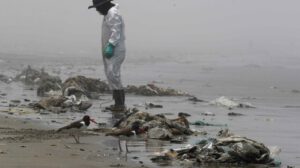 Derrame de petróleo en Perú y su impacto en las playas