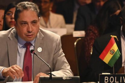 Héctor Arce OEA
