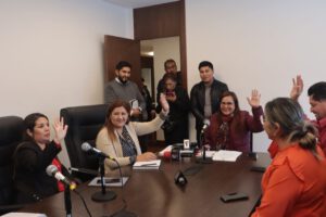 Comisión de Ética de la Cámara de Diputados