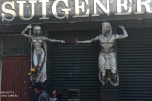 Retiro de abejas en Suigéneris