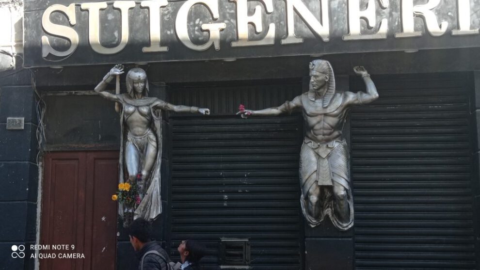 Retiro de abejas en Suigéneris
