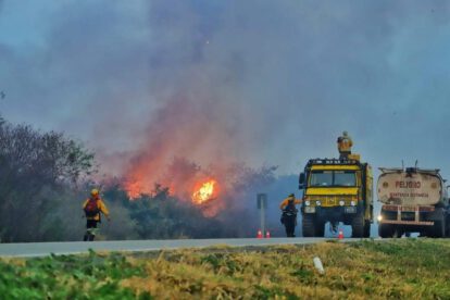 donación de Corea a Unicef por incendios en Bolivia
