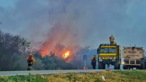 donación de Corea a Unicef por incendios en Bolivia