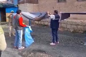 Enjambre de abejas en sombrilla de un puesto de venta en Oruro