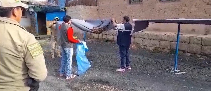 Enjambre de abejas en sombrilla de un puesto de venta en Oruro
