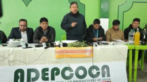industrialización de la hoja de coca en Bolivia