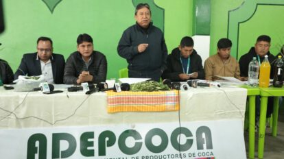 industrialización de la hoja de coca en Bolivia