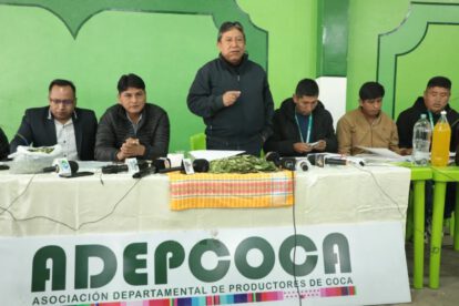 industrialización de la hoja de coca en Bolivia