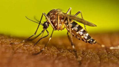 Alerta sanitaria roja dengue Pando