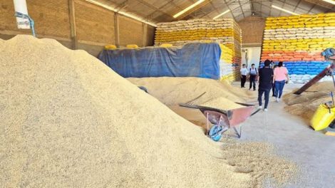 Precios del arroz en reunión del Gobierno y arroceros