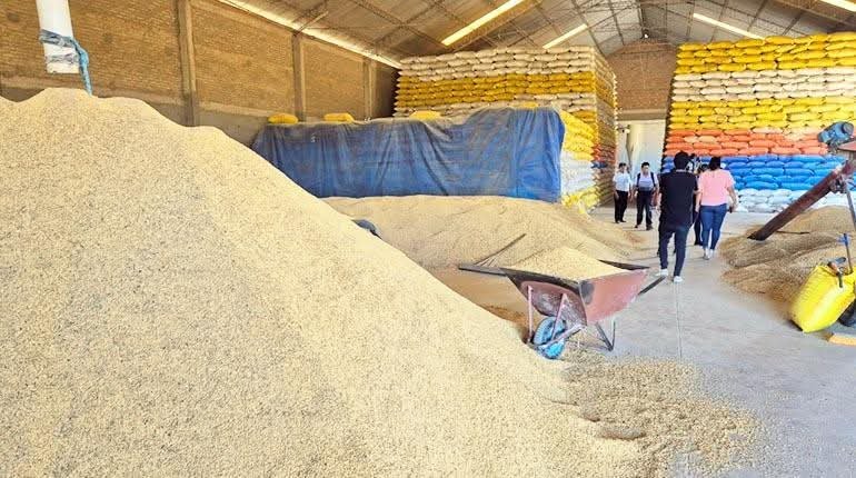 Precios del arroz en reunión del Gobierno y arroceros