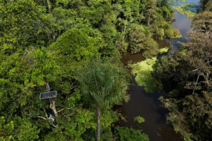 Biodiversidad amazónica y tecnología de sonido