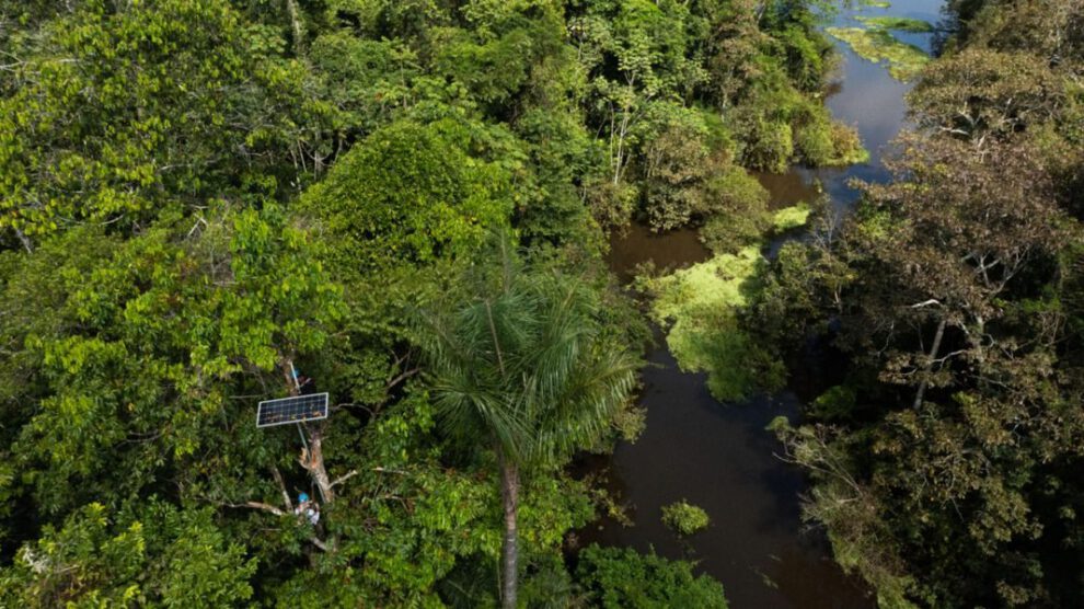 Biodiversidad amazónica y tecnología de sonido