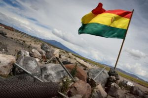 Retiro del enmallado en Pisiga - Bolívar