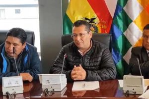 Contratos de litio en la Cámara de Diputados