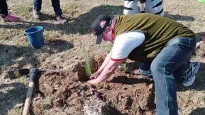 Ley de priorización nacional para forestación en Sucre