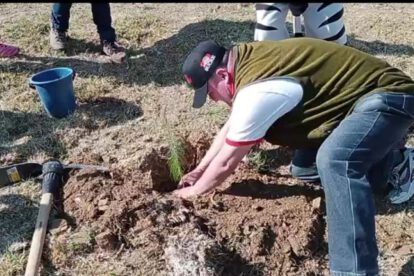 Ley de priorización nacional para forestación en Sucre