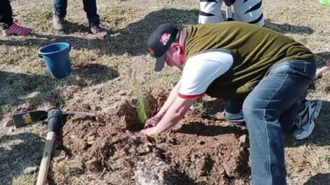 Ley de priorización nacional para forestación en Sucre