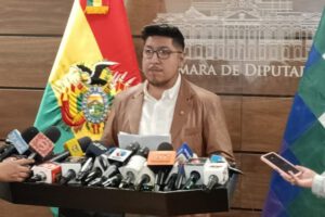 Proyectos de ley sobre litio en la Cámara de Diputados