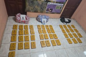 Aprehendidos con marihuana en Riberalta