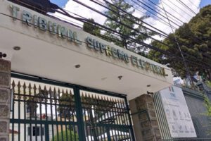 TREP elecciones generales 2025