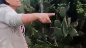 Agresión a madre e hijos en Cochabamba