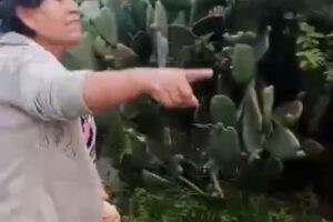 Agresión a madre e hijos en Cochabamba