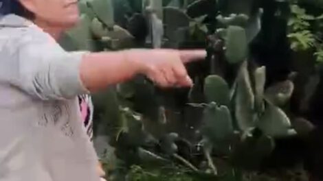 Agresión a madre e hijos en Cochabamba