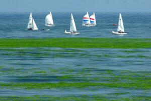 Calentamiento de los océanos y su impacto en el clima
