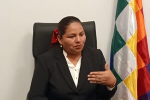 Regulación de precios por la diputada Deisy Choque