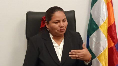 Regulación de precios por la diputada Deisy Choque